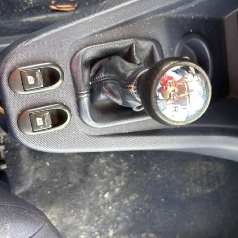 Porte avant droit PEUGEOT 1007 Photo n°17