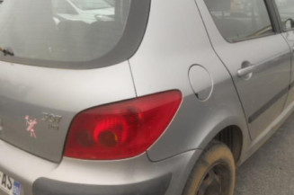 Bouton de warning PEUGEOT 307