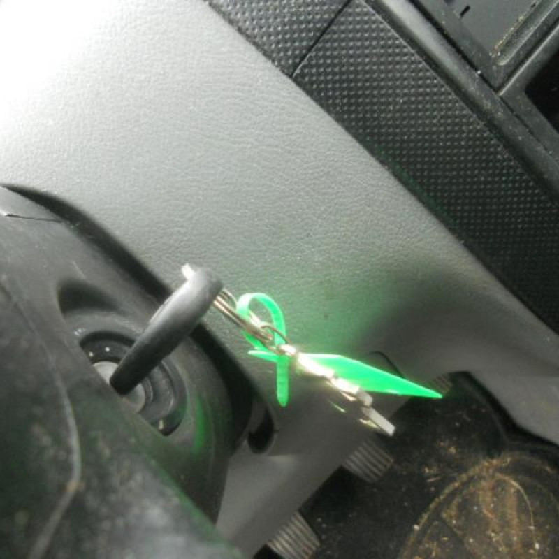 Porte arriere droit DAEWOO KALOS Photo n°11