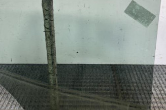 Vitre arriere gauche RENAULT KADJAR