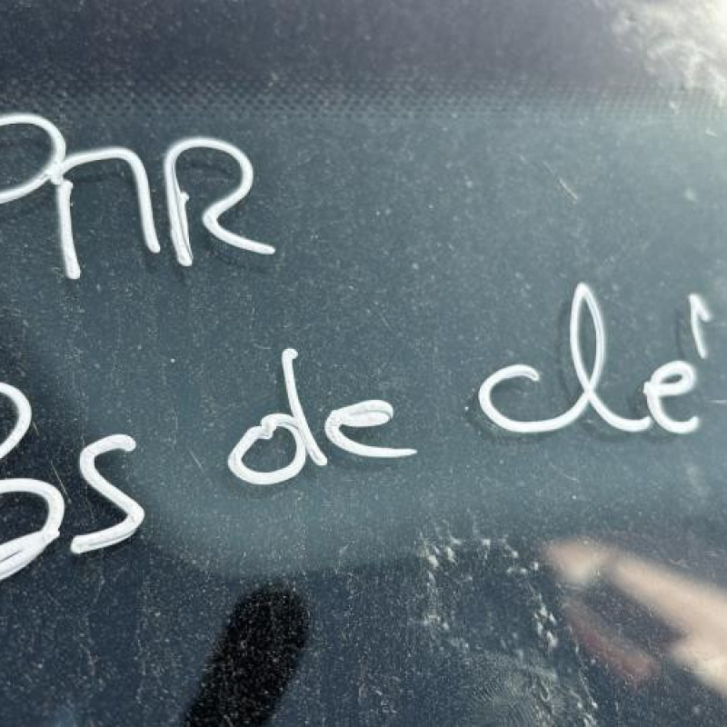 Retroviseur gauche OPEL SIGNUM Photo n°20