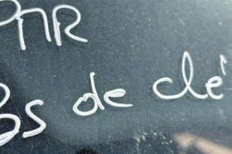 Leve vitre electrique avant droit OPEL SIGNUM
