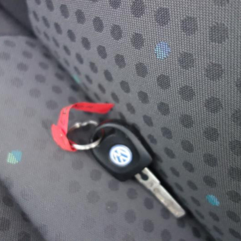 Porte avant gauche VOLKSWAGEN POLO 4 Photo n°10