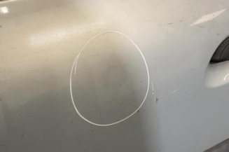 Porte avant gauche RENAULT CLIO 2