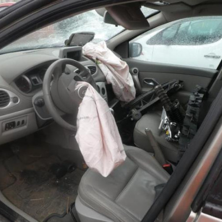 Porte avant gauche RENAULT CLIO 3