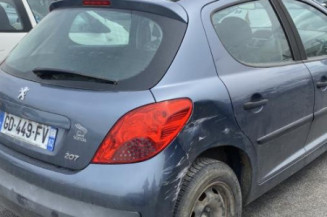 Eclairage de plaque PEUGEOT 207