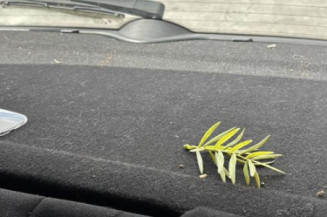 Optique avant principal gauche (feux)(phare) PEUGEOT 307