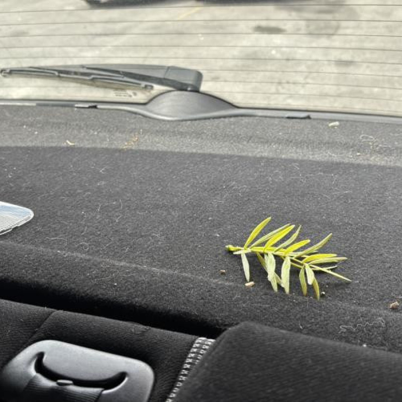 Optique avant principal gauche (feux)(phare) PEUGEOT 307 Photo n°19