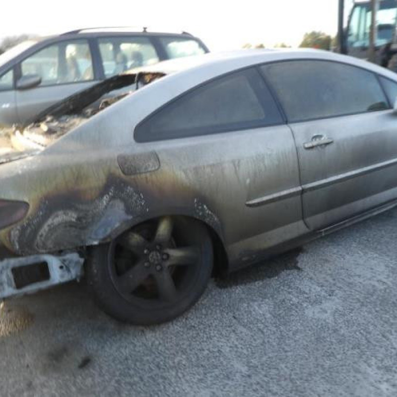 Custode arriere droit PEUGEOT 407 Photo n°4