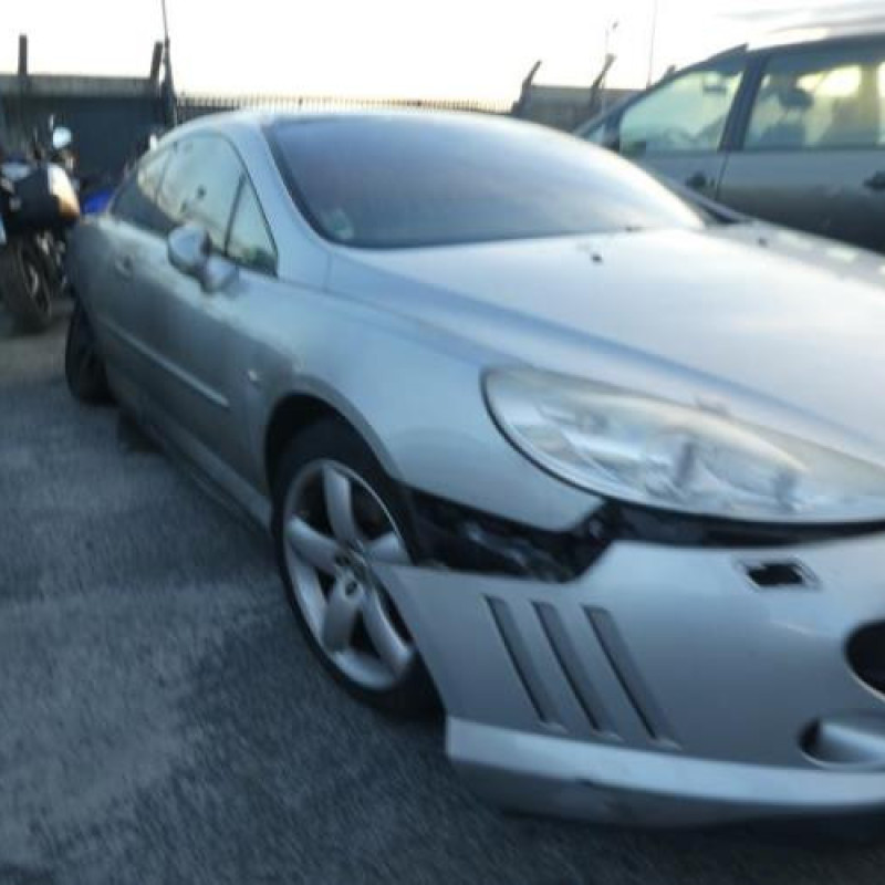 Custode arriere droit PEUGEOT 407 Photo n°7