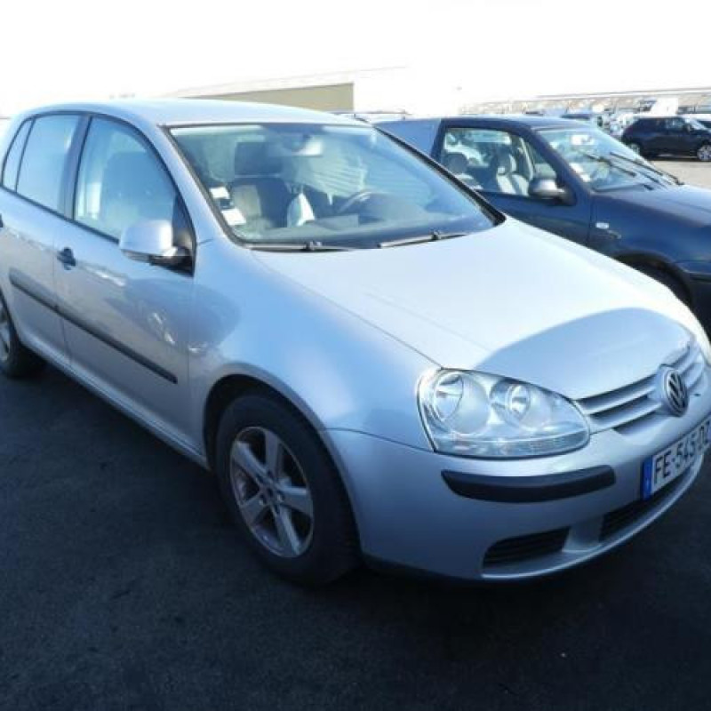 Porte avant droit VOLKSWAGEN GOLF 5 Photo n°8