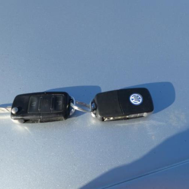 Porte avant droit VOLKSWAGEN GOLF 5 Photo n°14