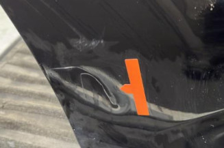 Porte arriere droit CITROEN C3 2