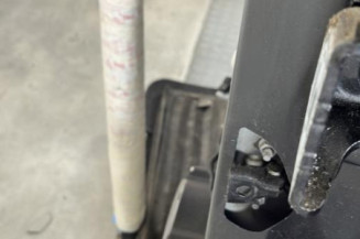 Porte arriere gauche CITROEN C3 2