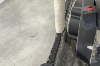 Porte arriere gauche CITROEN C3 2
