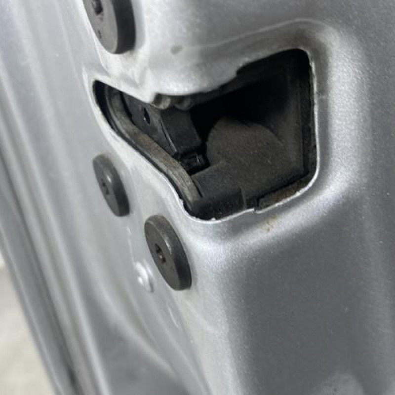 Porte avant gauche RENAULT CLIO 4 Photo n°2