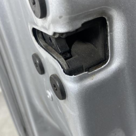 Porte avant gauche RENAULT CLIO 4