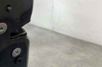 Porte avant gauche CITROEN C3 2