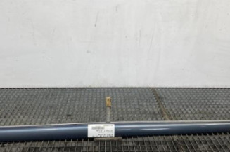 Baguette de porte avant droite PEUGEOT 207