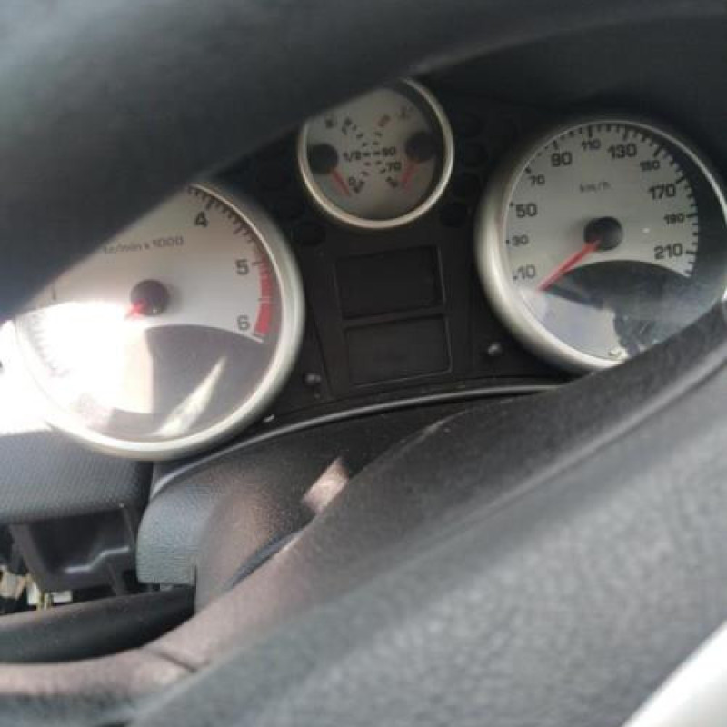 Baguette de porte avant droite PEUGEOT 207 Photo n°9