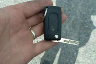 Baguette de porte avant droite PEUGEOT 207
