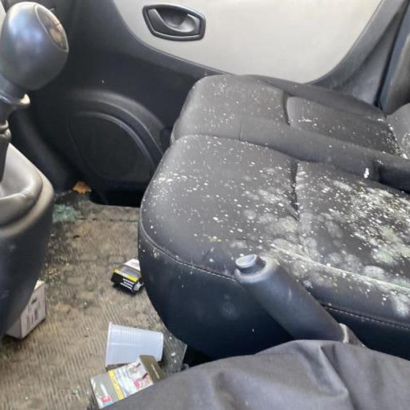 Baguette de porte avant droite RENAULT TRAFIC 3 COURT Photo n°16
