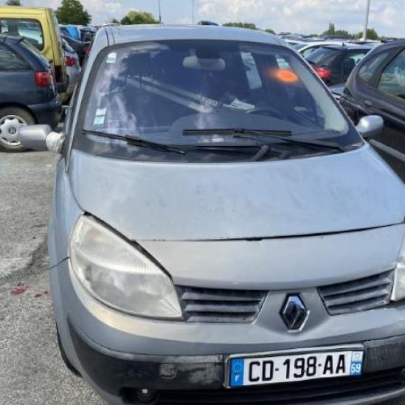 Custode arriere droit RENAULT SCENIC 2 Photo n°7
