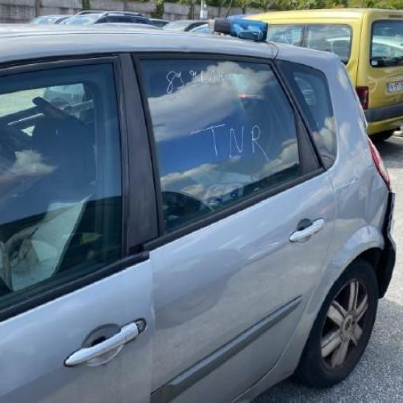 Custode arriere droit RENAULT SCENIC 2 Photo n°8