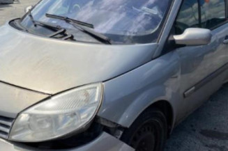 Custode arriere droit RENAULT SCENIC 2