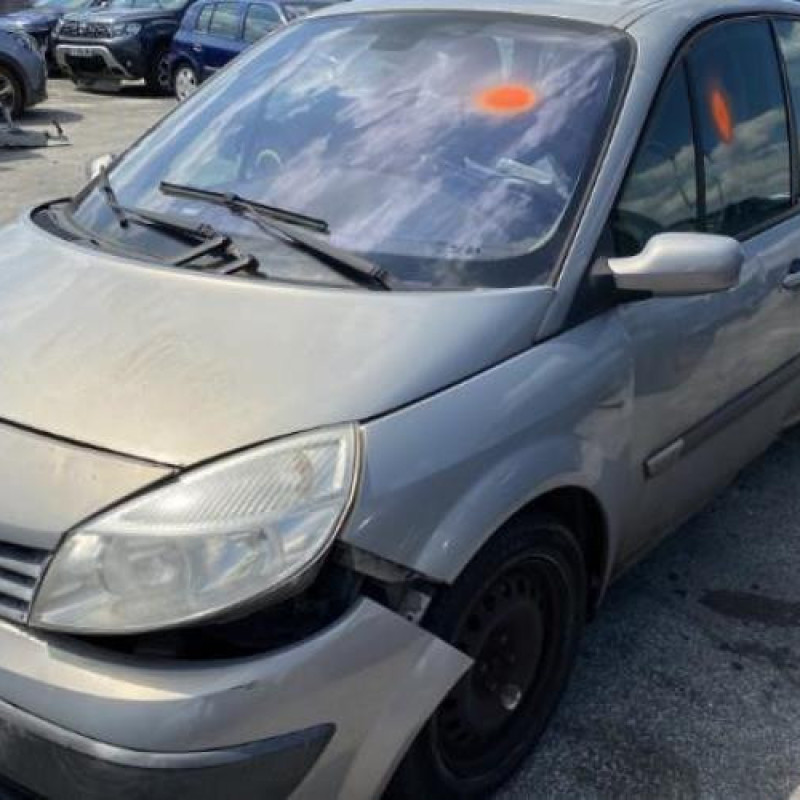 Custode arriere droit RENAULT SCENIC 2 Photo n°10