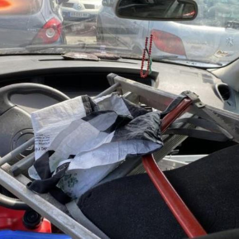 Custode arriere droit RENAULT SCENIC 2 Photo n°11