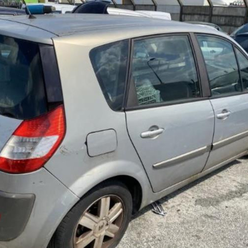Custode arriere droit RENAULT SCENIC 2 Photo n°12