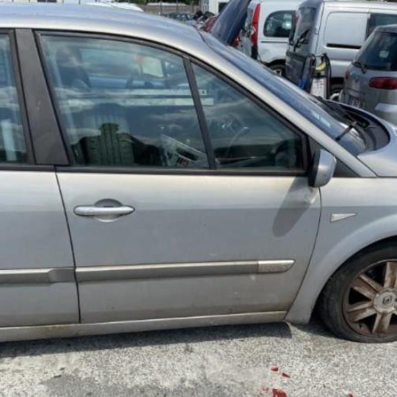 Custode arriere droit RENAULT SCENIC 2 Photo n°13