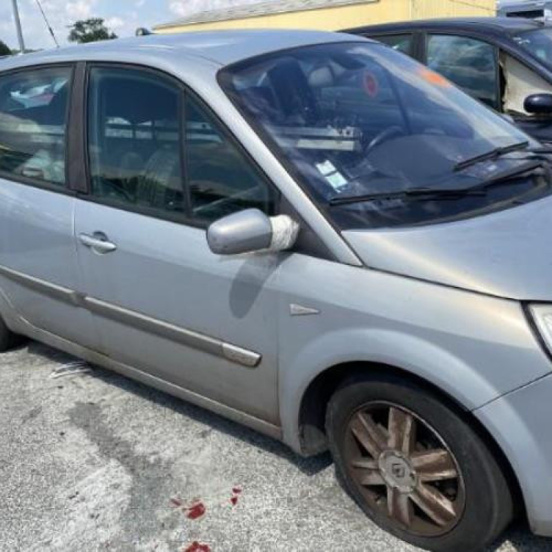 Custode arriere droit RENAULT SCENIC 2 Photo n°14