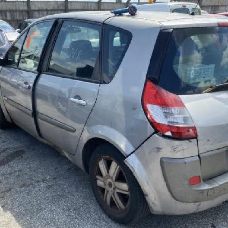 Custode arriere droit RENAULT SCENIC 2 Photo n°15