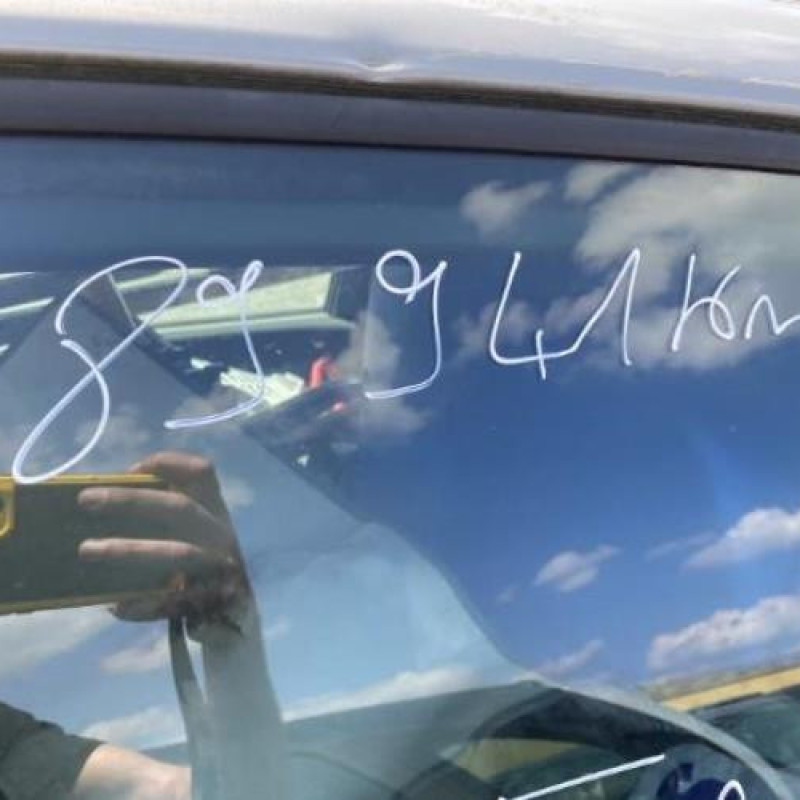 Custode arriere droit RENAULT SCENIC 2 Photo n°16