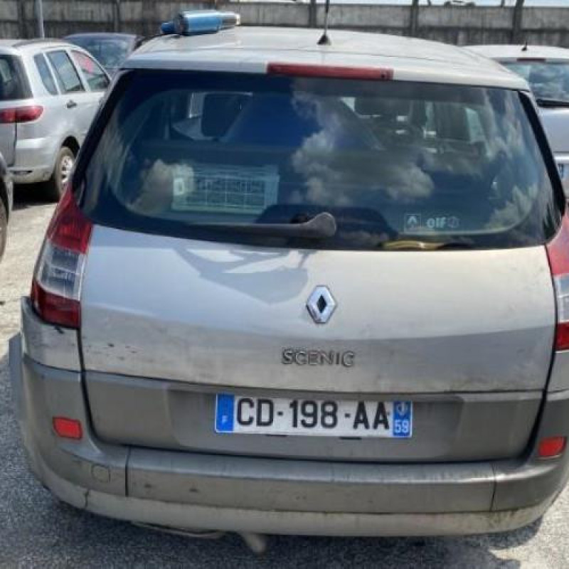 Custode arriere droit RENAULT SCENIC 2 Photo n°17