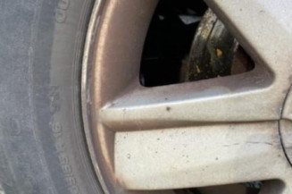 Custode arriere droit RENAULT SCENIC 2