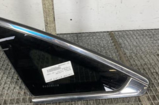 Custode arriere gauche RENAULT TALISMAN Photo n°1