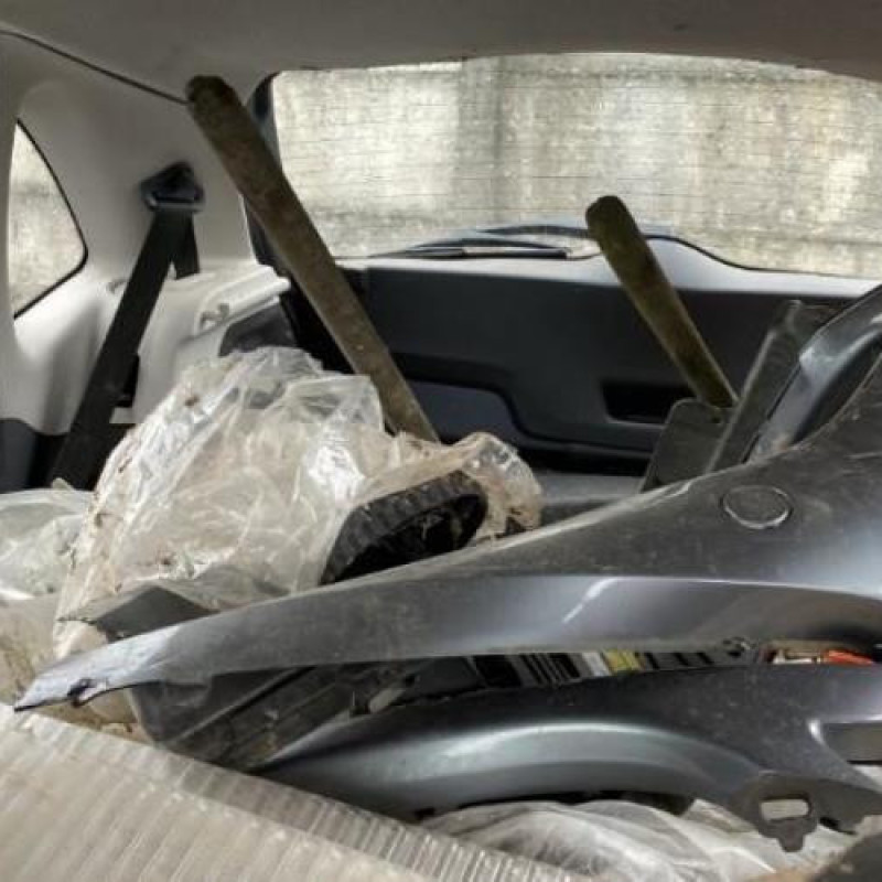 Custode arriere gauche CITROEN C3 1 Photo n°11