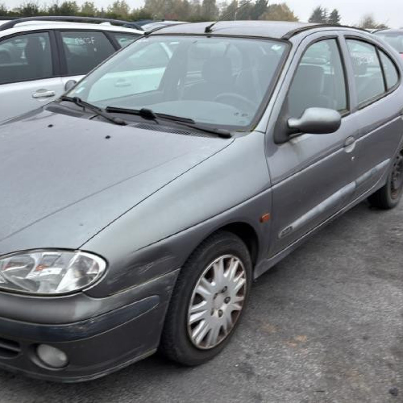 Custode arriere droit (porte) RENAULT MEGANE 1 Photo n°5