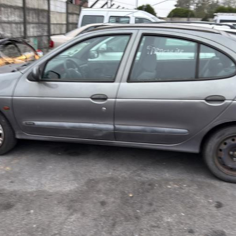 Custode arriere droit (porte) RENAULT MEGANE 1 Photo n°11