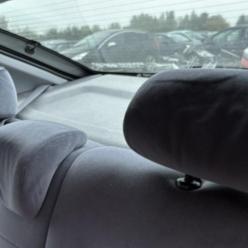 Custode arriere droit (porte) RENAULT MEGANE 1 Photo n°15