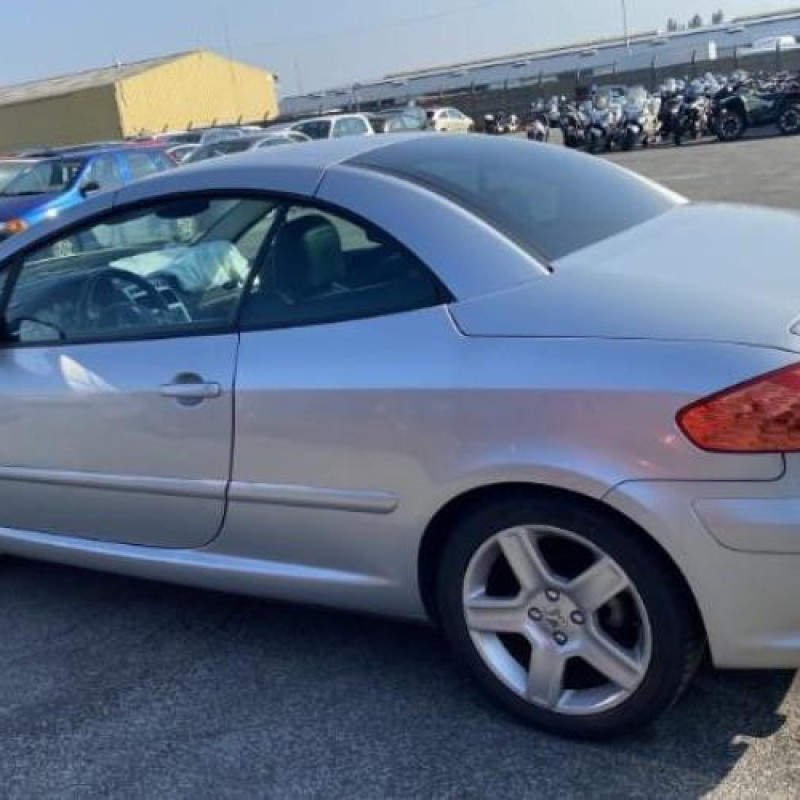 Custode arriere gauche PEUGEOT 307 Photo n°13
