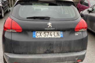 Custode arriere gauche PEUGEOT 2008 1