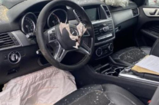 Custode arriere gauche (porte) MERCEDES CLASSE M 166