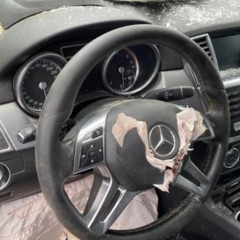 Custode arriere gauche (porte) MERCEDES CLASSE M 166 Photo n°15