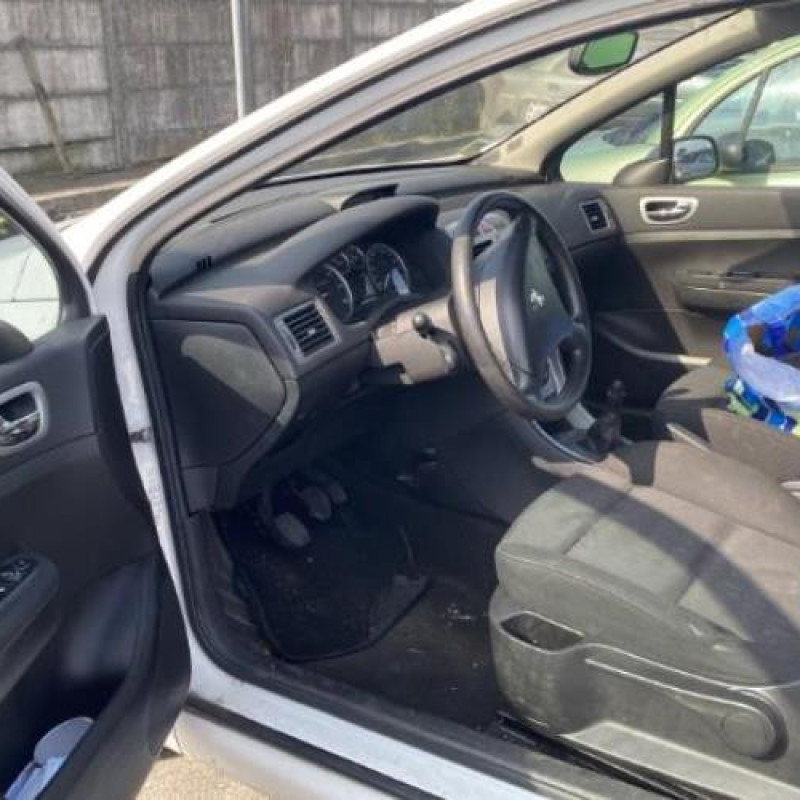Custode avant droit (porte) PEUGEOT 307 Photo n°6