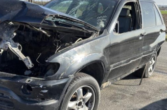 Custode arriere gauche (porte) BMW X5 E53