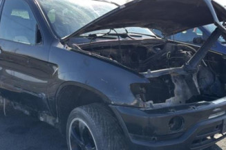 Custode arriere gauche (porte) BMW X5 E53